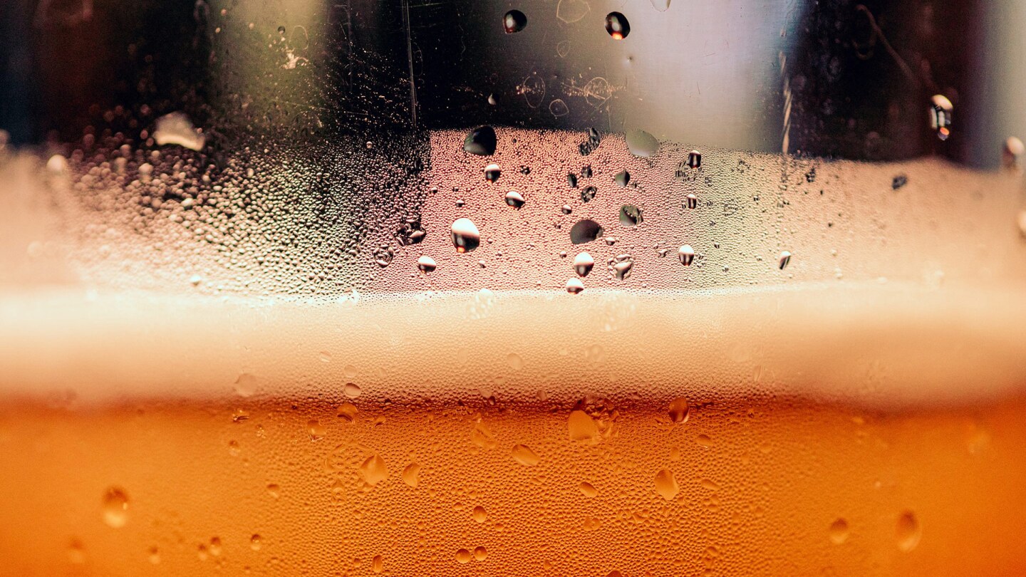 Beer froth | Timothy Dykes / Unsplash