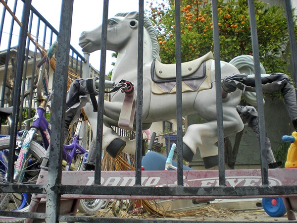 Photo from LALA community field trip