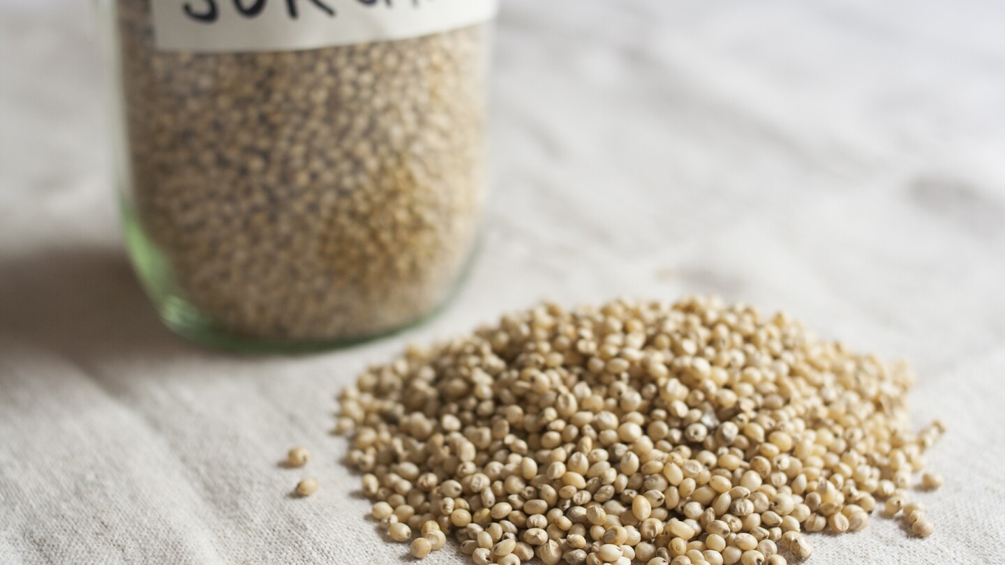 whole-grain sorghum