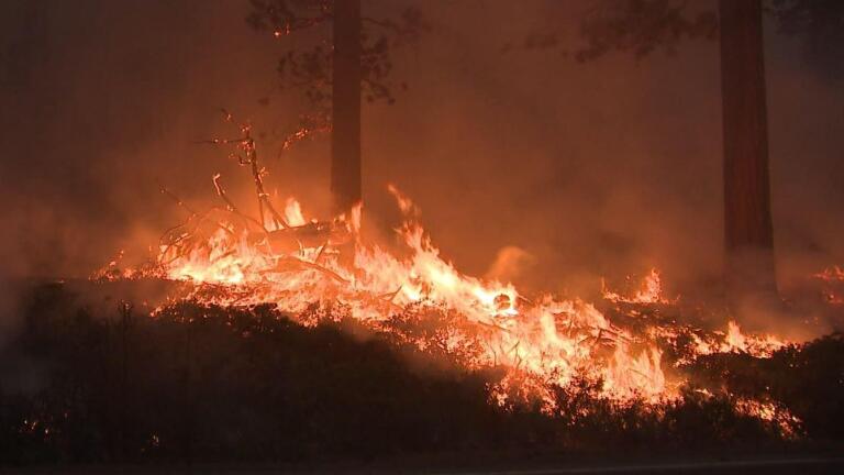 United Nations Study Issues A Grim Warning On Climate Change