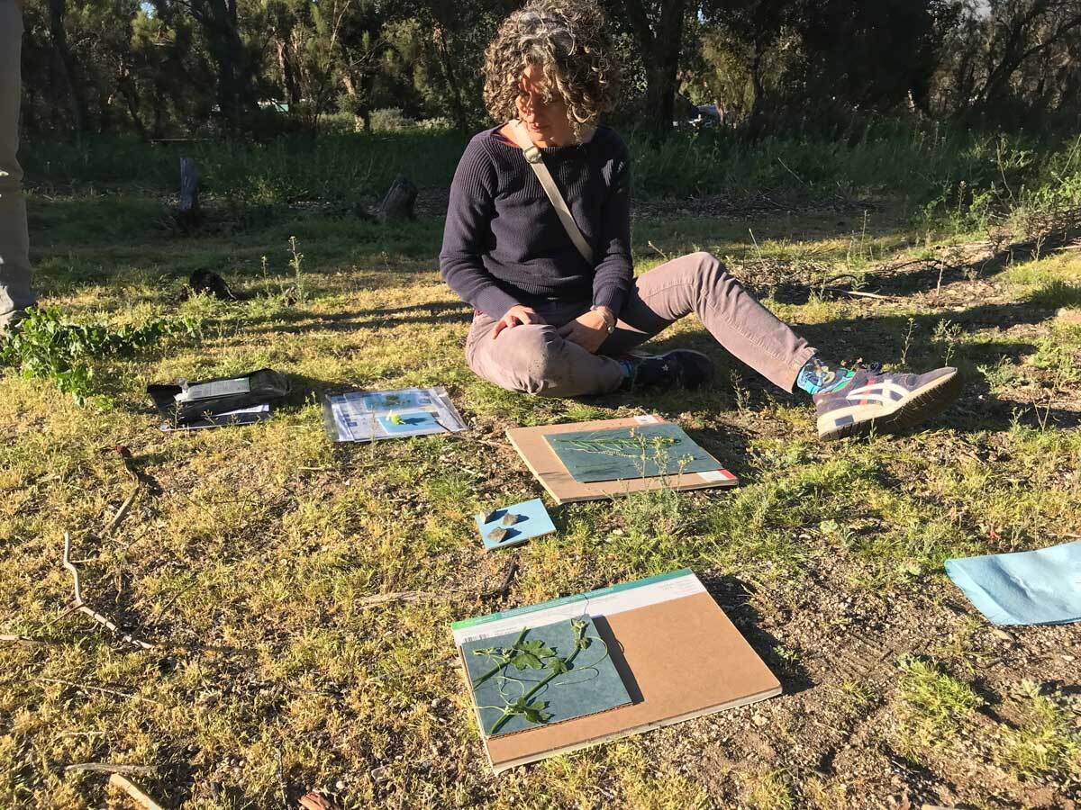 Hillary Mushkin drawing at Oak Grove site for "Three Border Ecologies" | Claudia Martinez Mansell
