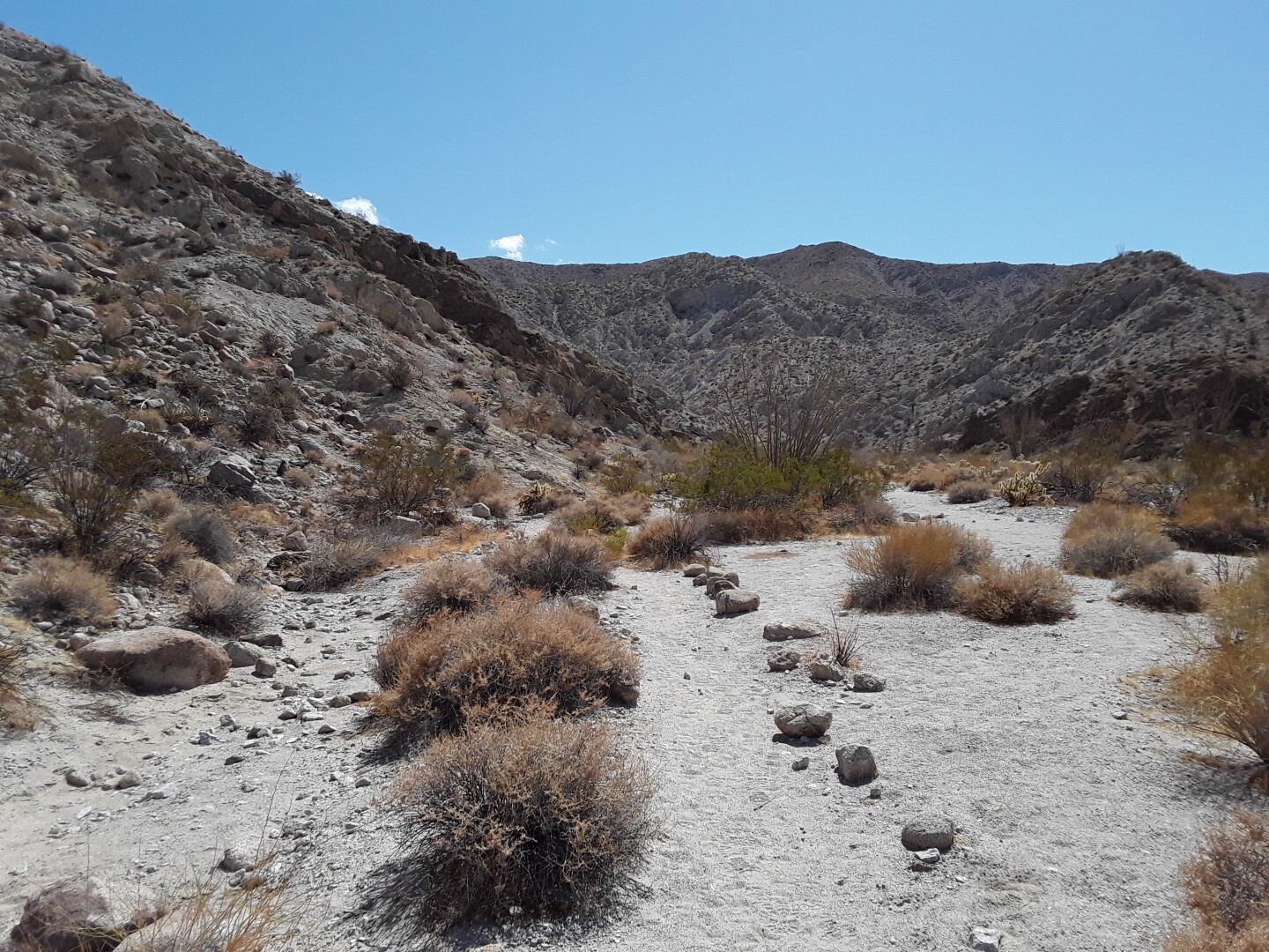 The landscape at the Narrows Earth Trail at Anza-Borrego. Mountains cover the background. The foreground features small rocks lining the path.