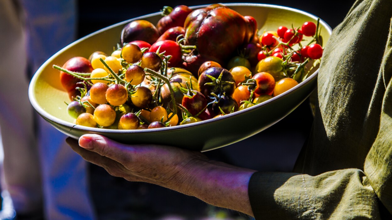 A woman's hands holding a bowl of small tomatoes.