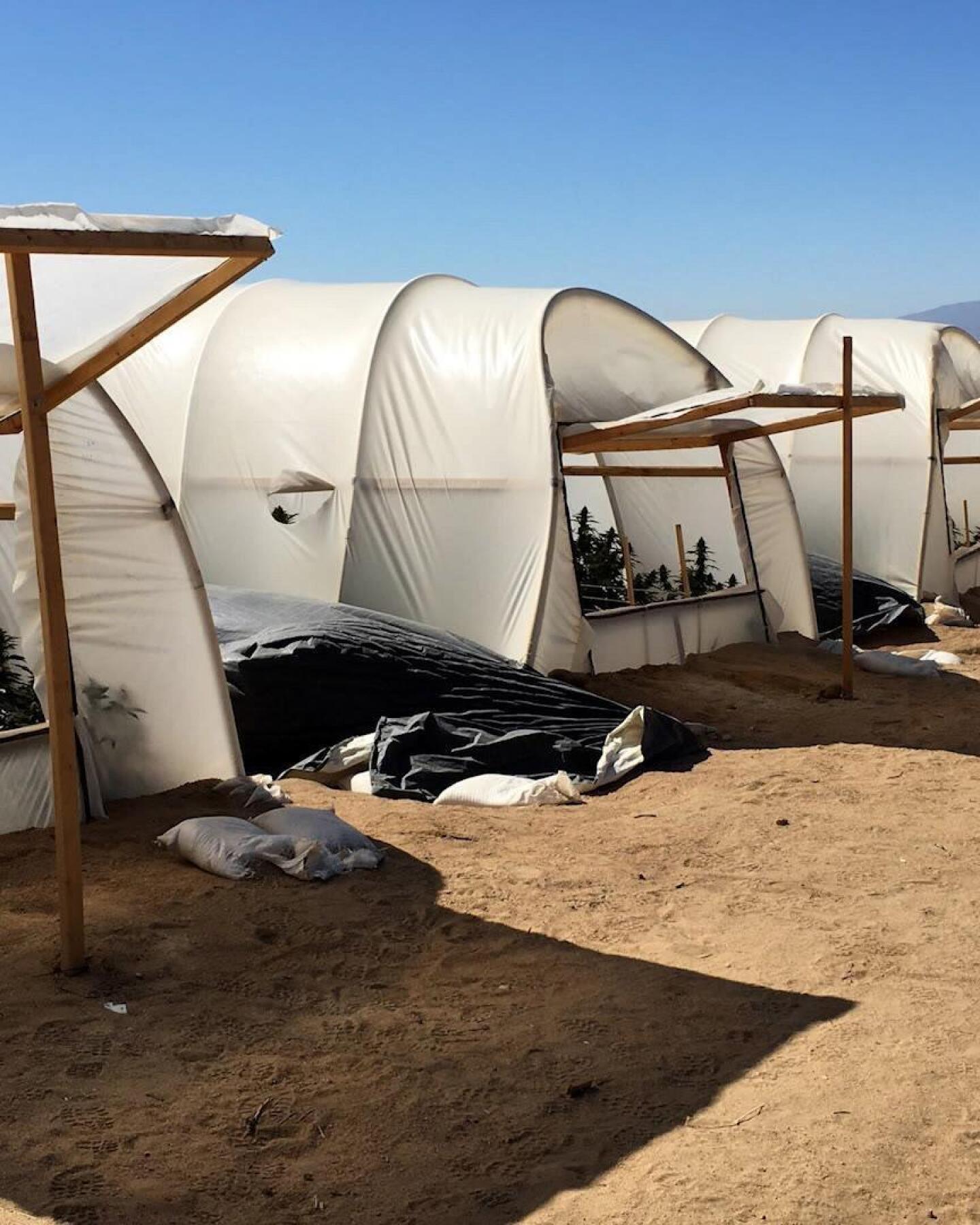 Water Theft Hits Record Levels During Drought | July 30