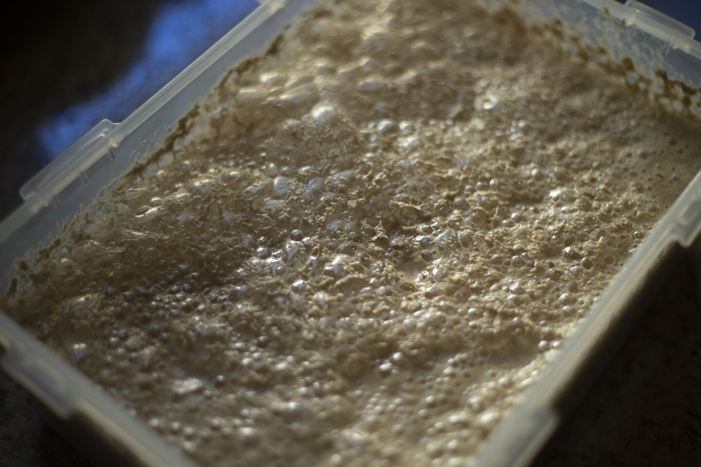 Injera batter during fermentation I Comfort Azubuko