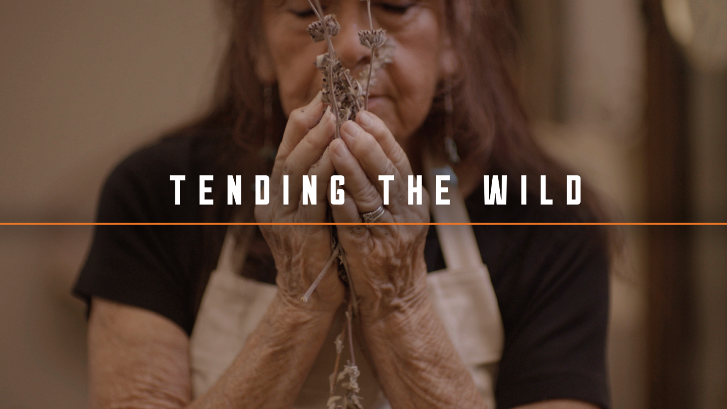 Tending the Wild
