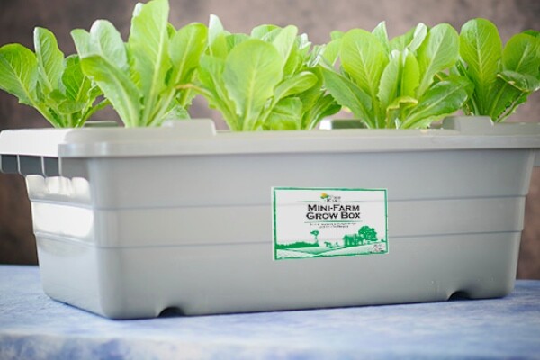 growbox