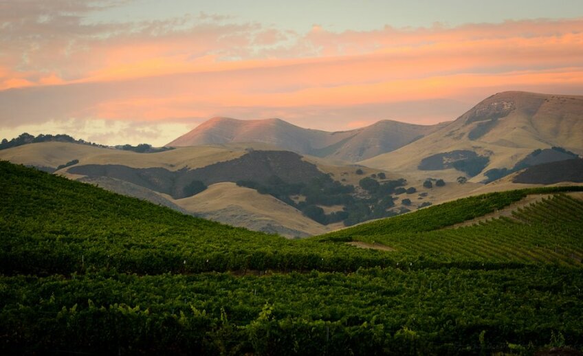 248561_10151146796849650_828176746_n