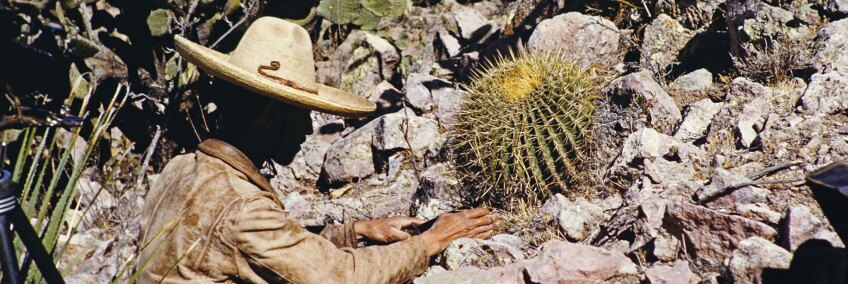 Cactus explorer featured in "Xerophile: Cactus Photographs from Expeditions of the Obsessed;" Date and location unknown.