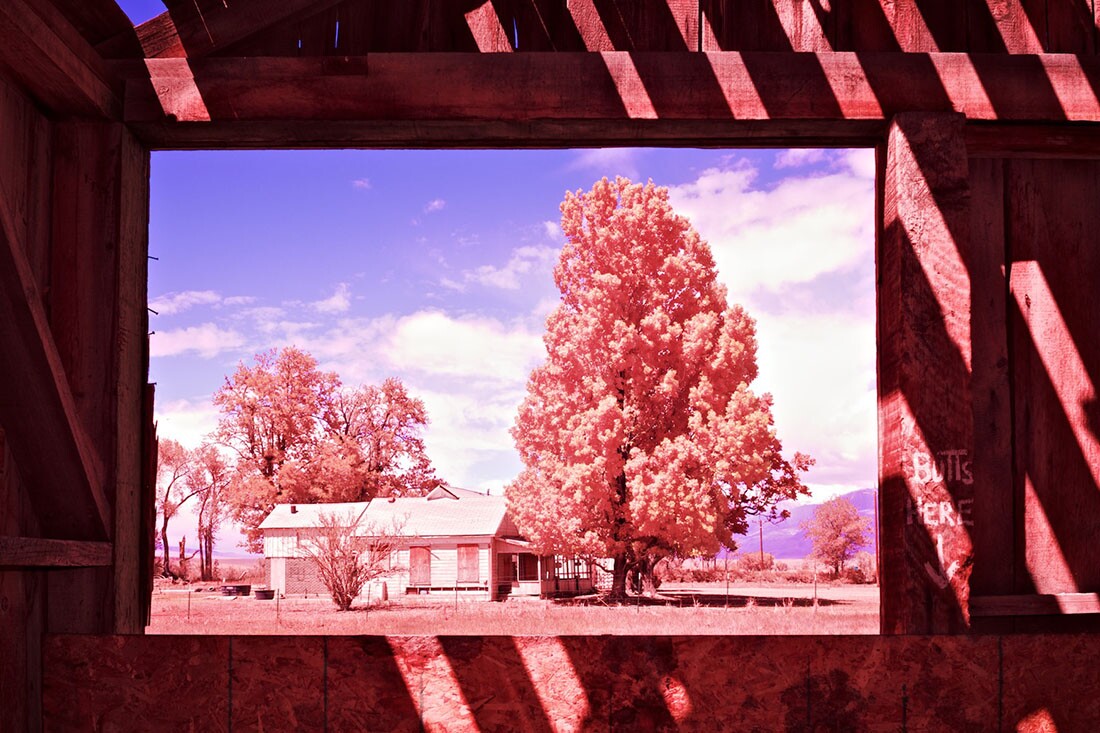 Window View of Boarded-Up Farm House from Abandoned Barn - Color/Infrared Exposure - Bishop, CA - 2016 | Osceola Refetoff