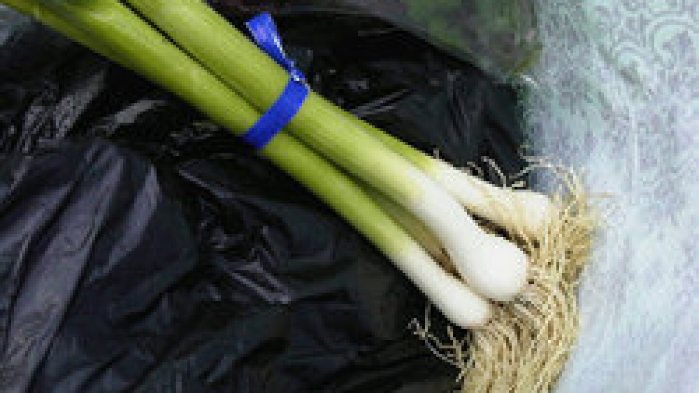 green garlic, a market delicacy