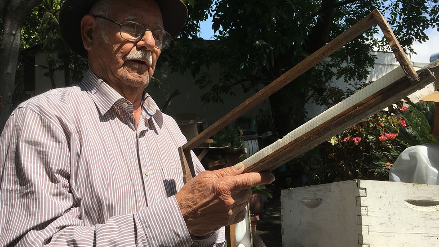 Victor Jaramillo Soriano Bee Keeping | Oliver Wang