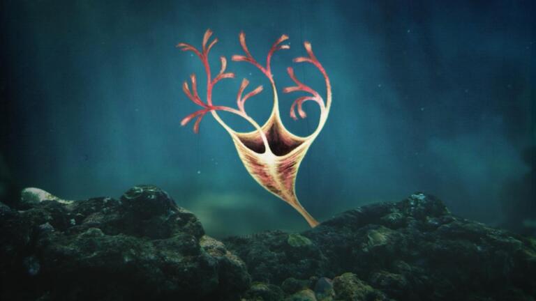 How Brawn Led to Brains