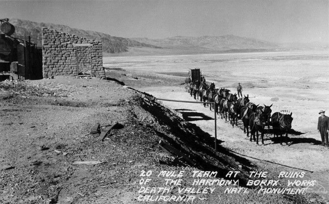 A twenty mule team at the ruins of the Harmony Borax Works, Death Valley, CA.