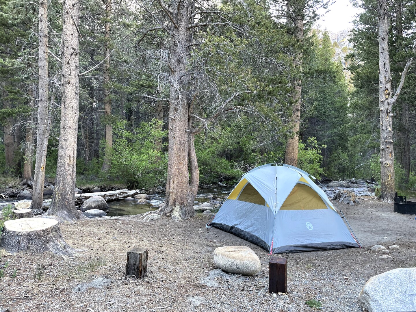 A small tent pitched at Big Meadow campground.