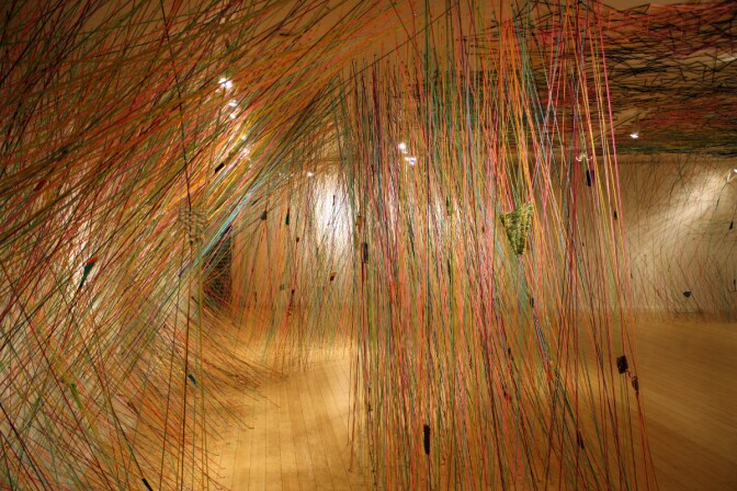 Tanya Aguiñiga installation