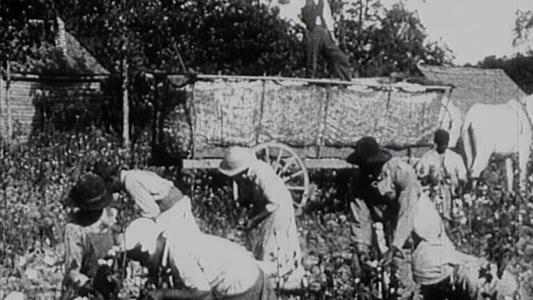 Fannie Lou Hamer's America | A Childhood in Mississippi