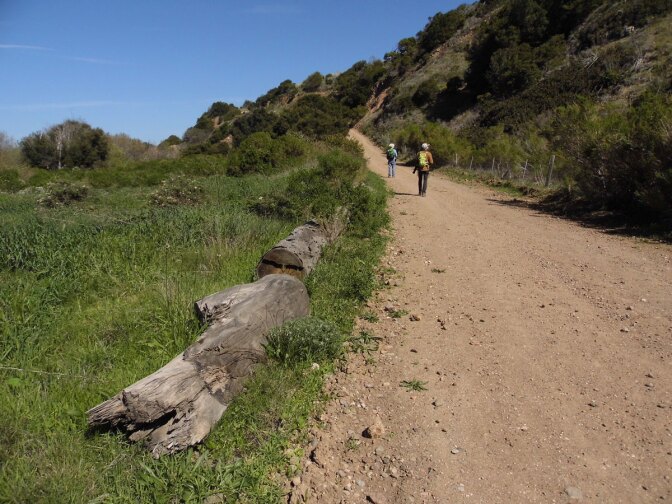Santa Cruz Island | Sandi Hemmerlein