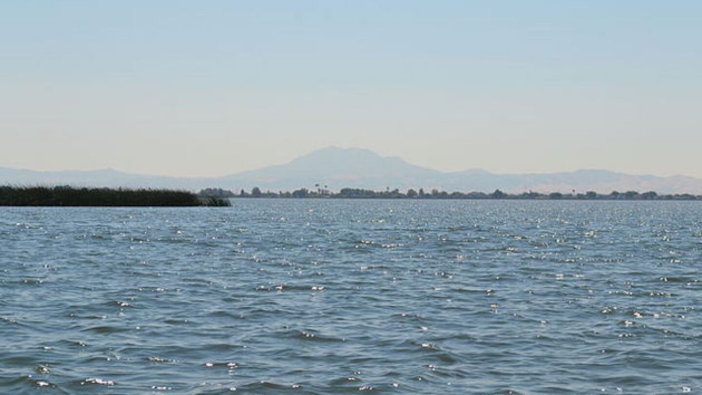 640px-franks_tract_in_sacramento-san_joaquin_river_delta_with_mount_diablo_in_background-thumb-630x420-95496.jpeg