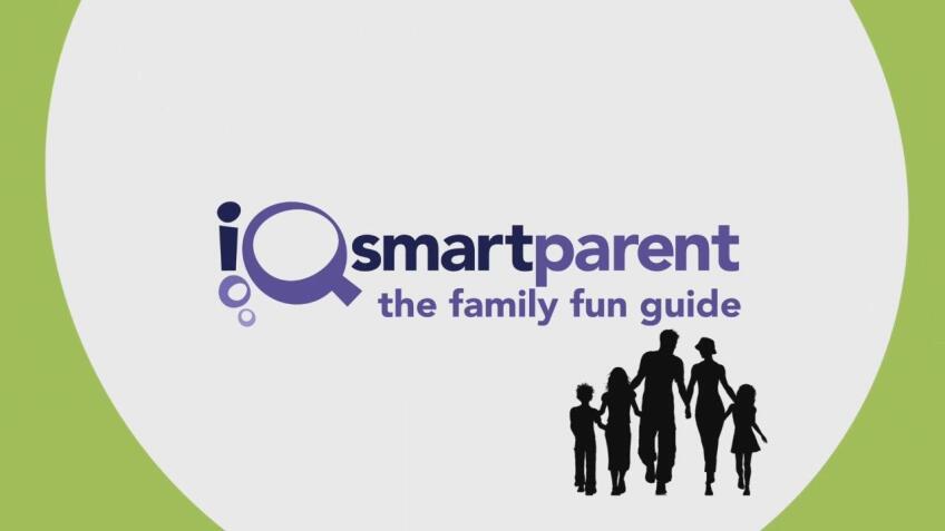 The Family Fun Guide