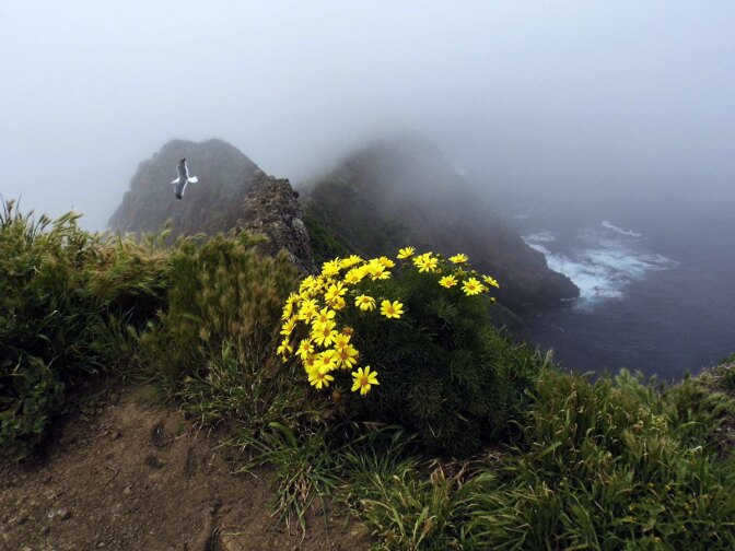 Anacapa Island | Sandi Hemmerlein