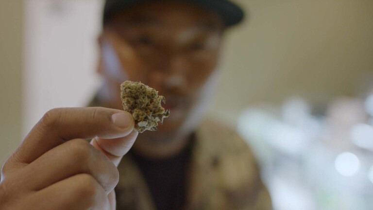 Roy holds a cannabis bud. | Still from "Broken Bread"