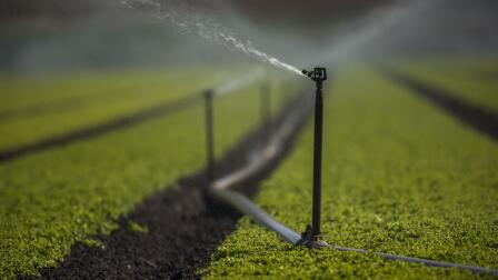 California farmers give up water to help fight drought