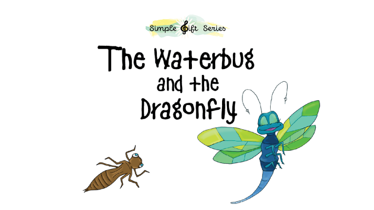 Marty & Tempo; Visiting the Vet Hospital; “The Waterbug & th