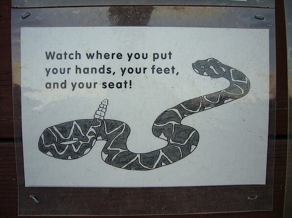 snakesign-thumb-597x447-26330