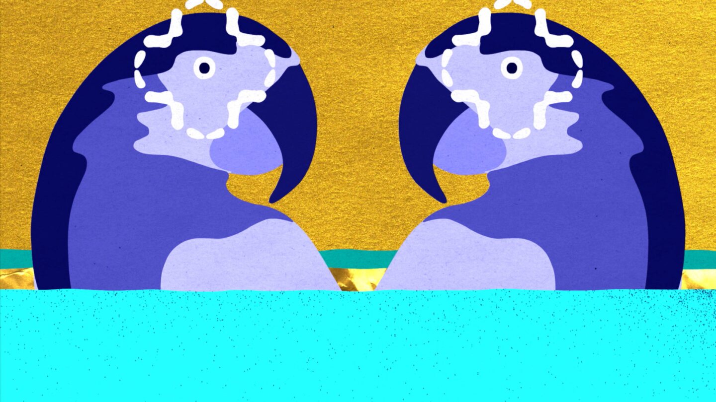 Still from "Populous:" Two illustrated purple parrots