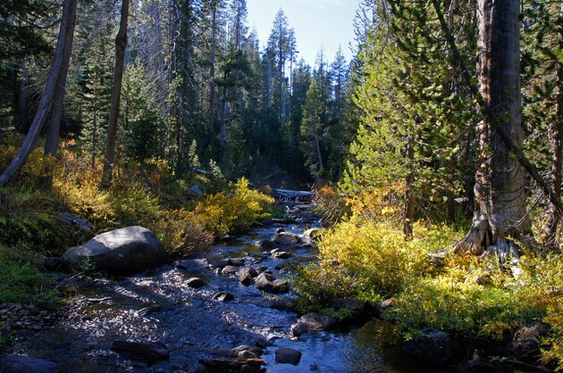 logging-sierra-water-1-20-16-thumb-630x418-100885