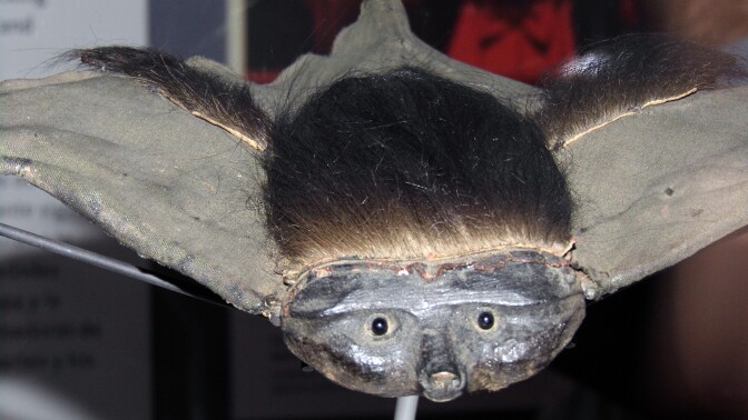A creature at the Natural History of Horror