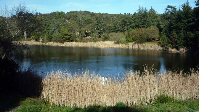Franklin Canyon Park Lake