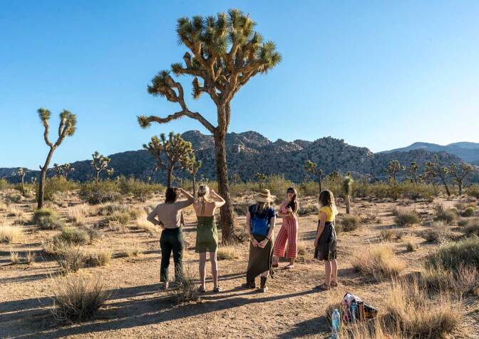 Artist/ecologist Juniper Harrower (second from right) giving a presentation at one of her Joshua Tree research sites in Joshua Tree National Park. | Kim Stringfellow.