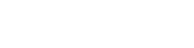 Questioning the Constitution