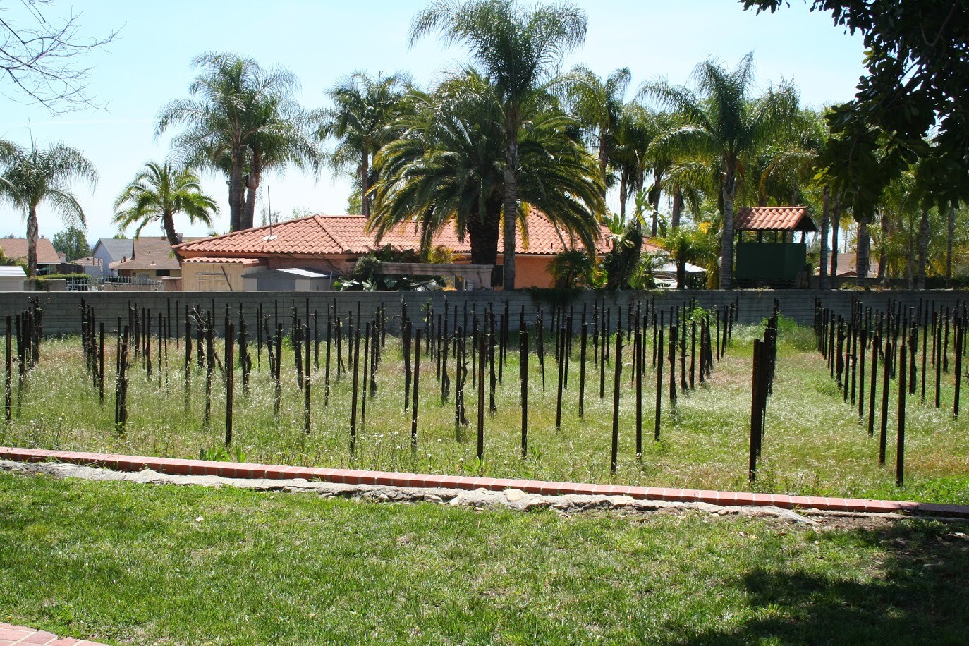 winery today