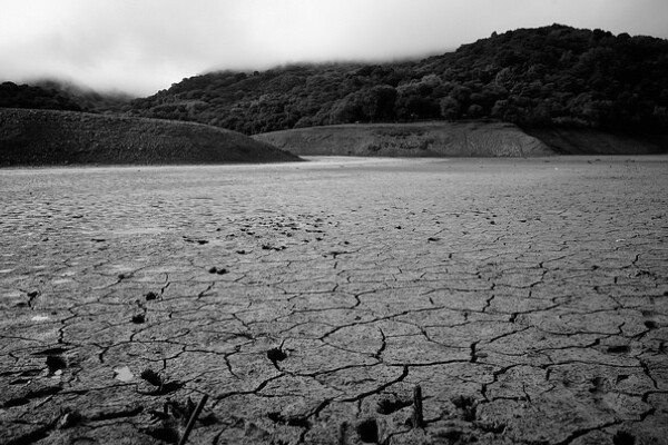 droughtsalmon1