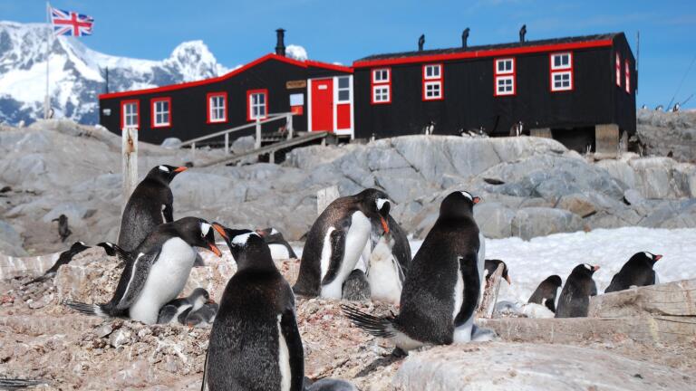 Penguin Post Office - Preview 