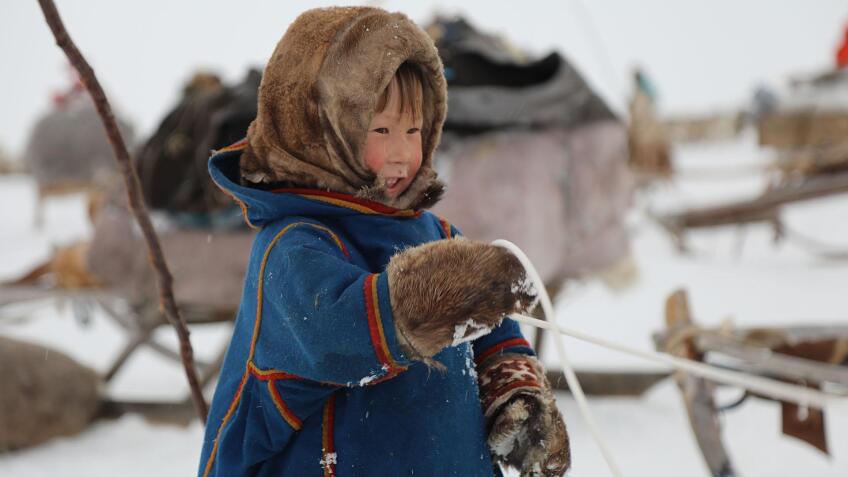 Surviving with Animals