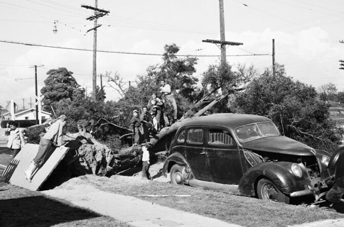 Children play on a downed tree at Converse and Gage in South Los Angeles on March 1, 1952. Courtesy of the Los Angeles Examiner Collection, USC Libraries.
