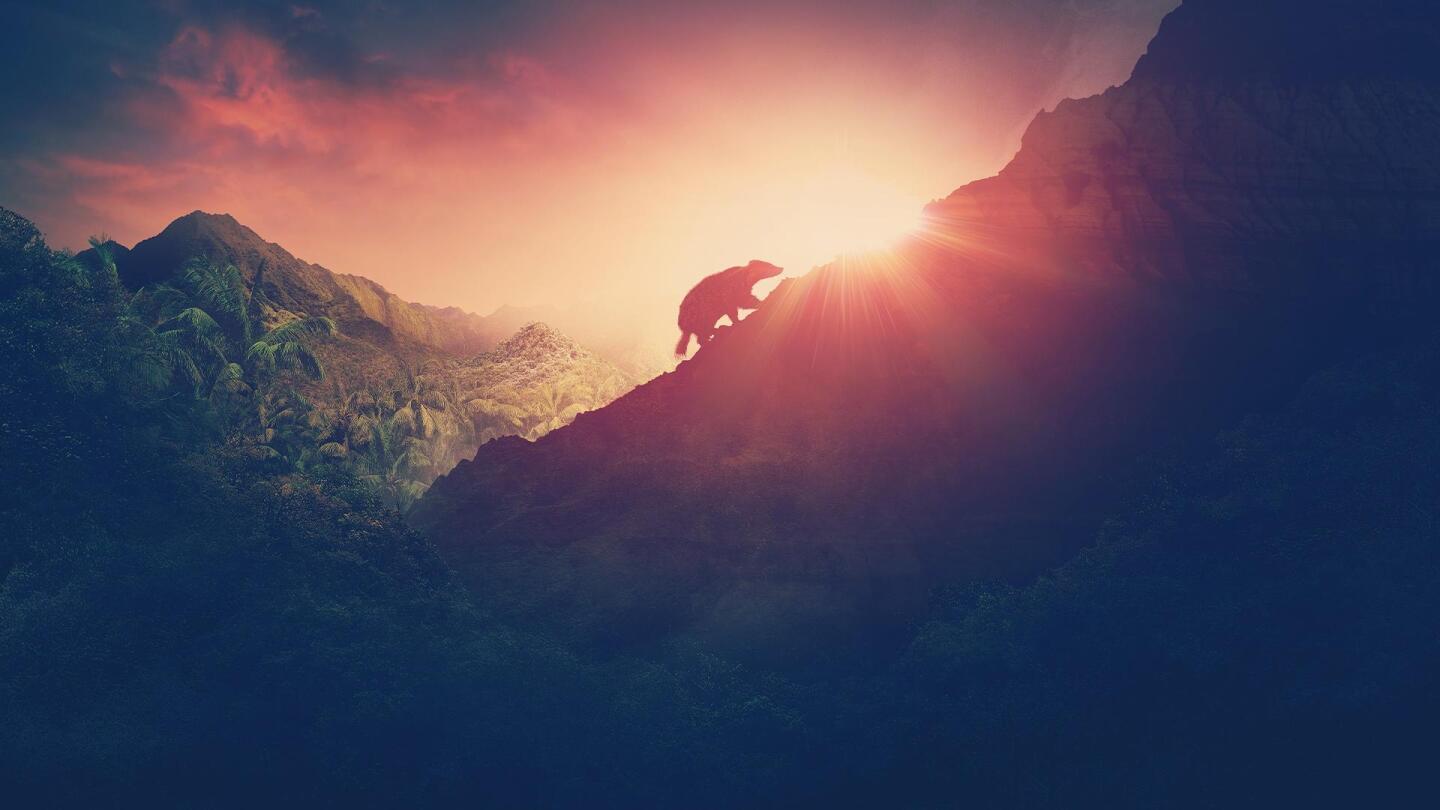 The silhouette of an animal climbing the side of a mountain. | From "NOVA: Rise of the Mammals"