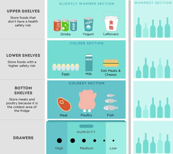 Produce Storage Infographic