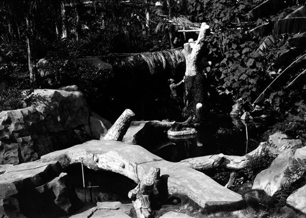 1928 view of a bridge crossing a stream in the California Botanic Garden. Courtesy of the Photo Collection, Los Angeles Public Library.