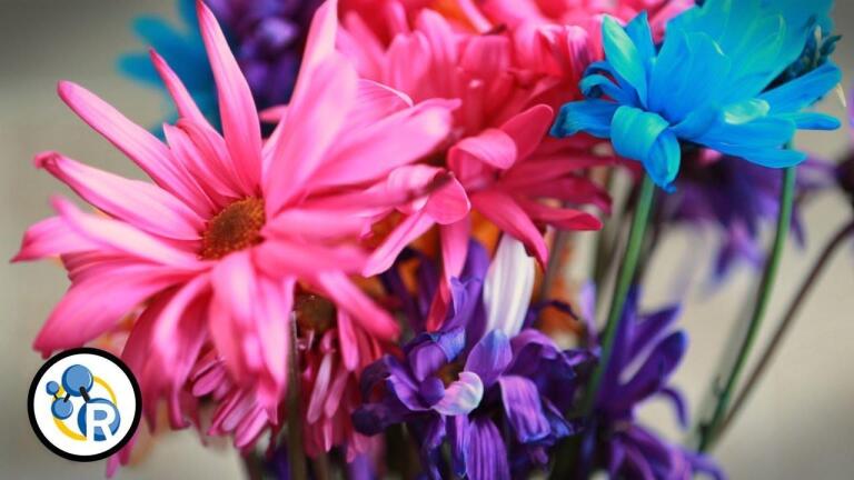 How Can You Make Flowers Last Longer?