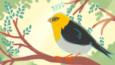 Meet 'Ānuenue, a Palilia Bird Whose Existence is at Risk