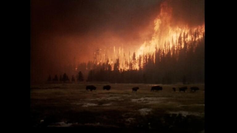 Yellowstone on Fire