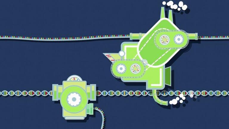 Protein Synthesis in the Cellular Factory