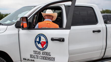 News Wrap: 3 more screwworm cases found in Texas, New Mexico