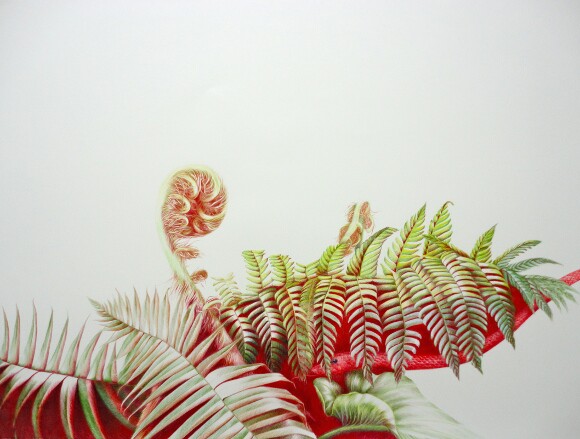 Joanne Julian, "Ruby," 2014, Prismacolor on arches paper, 22 x 30 inches. | Image: Courtesy of the artist.