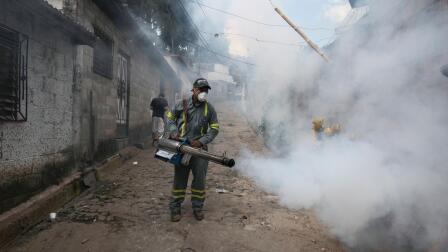 Mosquito breeding grounds is front line in Zika fight